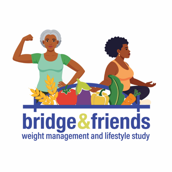 BRIDGE & Friends logo
